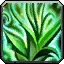 Wild Growth - Druid ability in WoW Forever