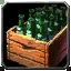 Sealed Apprentice Crate - WoW Forever