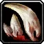 Dreamhunter Fang - WoW Forever