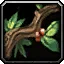 Wild Berries - WoW Forever