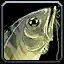 Sickly Looking Fish - WoW Forever
