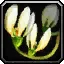 Wintersbite - WoW Forever