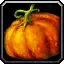 Small Pumpkin - WoW Forever
