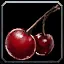 Mixed Berries - WoW Forever
