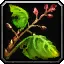 Bloodvine - WoW Forever