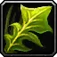 Silverleaf - WoW Forever