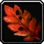 Bloodkelp - WoW Forever