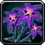 Plaguebloom - WoW Forever