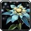 Hyjal Silphium - WoW Forever