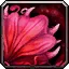 Rosecap - WoW Forever