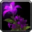 NOT USED - WoW Forever