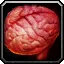 Felhound Brain - WoW Forever