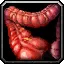 Boar Intestines - WoW Forever