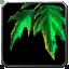 Shadeleaf - WoW Forever