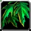 Pop-Up Shrub - WoW Forever