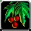 Broken Frond of Celastrus - WoW Forever