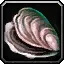 Thick-shelled Clam - WoW Forever