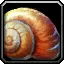 Empty Sea Snail Shell - WoW Forever