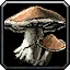 Lunar Fungus - WoW Forever