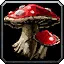 Bloodcap - WoW Forever