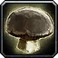 Forest Mushroom Cap - WoW Forever