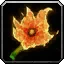 Burning Blossom - WoW Forever