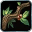 Herbalism - WoW Forever